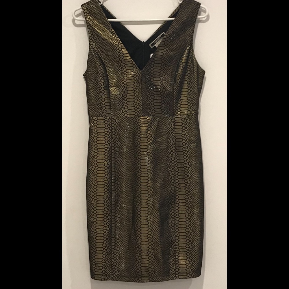 Snakeskin Dress